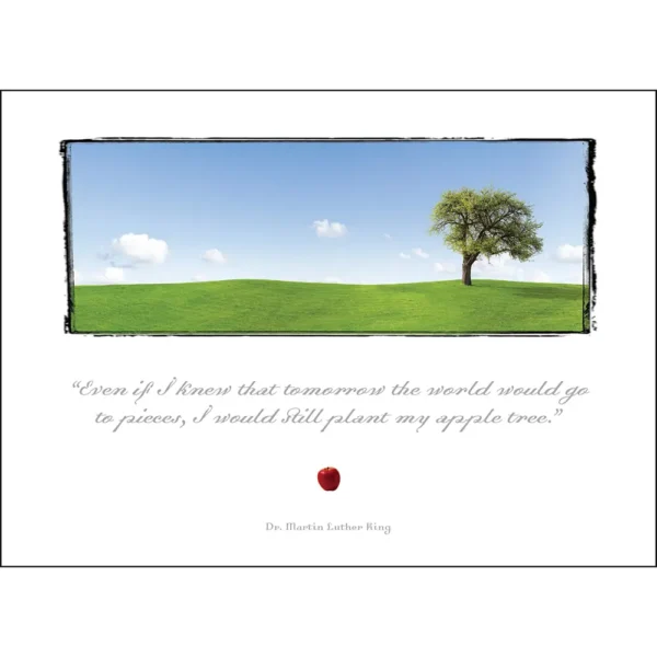 Postcard Set - Image 9