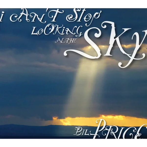 I Can't Stop Looking at the Sky - Image 3