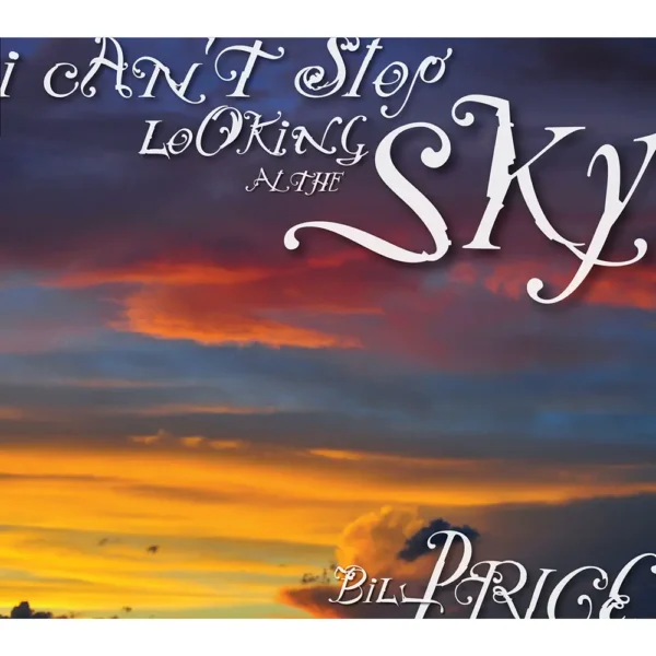 I Can't Stop Looking at the Sky - Image 4